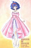 Princess Ameria from Slayers Costume