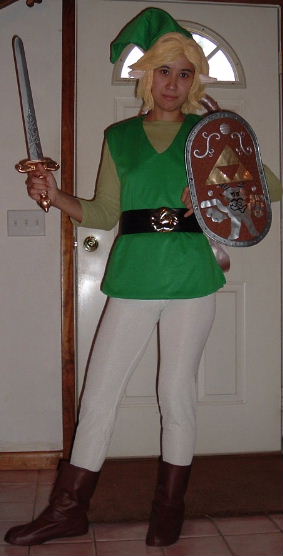 Link Costume from Legend of Zelda Costume