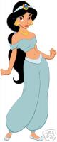 Princess Jasmine Costume