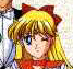 Sailor Venus Costumes