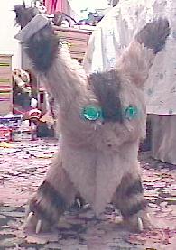 front view of 12