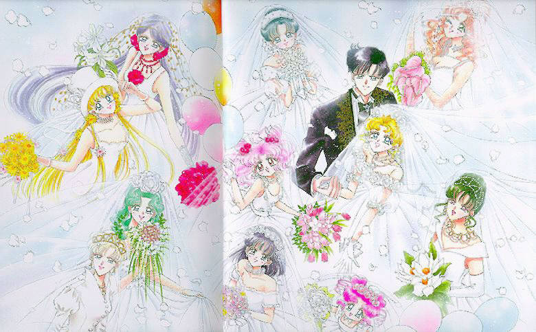 Sailor Moon Wedding Series 11" Dolls.